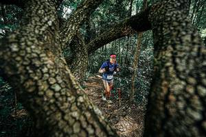 BIB: 
                            <button type="button" onclick="openModal(25392461)" class="btn btn-primary btn-sm float-right btn-popup" data-toggle="modal" data-target=".modal-high-quality">
                        <i class="fas fa-shopping-cart"></i> Add to Cart
                    </button>
                                            <button type="button" onclick="isThisMe(25392461, true)" class="btn btn-success btn-sm float-right btn-popup btn-isme hidden" data-toggle="tooltip" data-placement="bottom" title="นี่คือรูปของคุณใช่ไหม คลิกที่นี่เพื่อเอาเข้าอัลบั้ม">
                        <i class="fas fa-plus"></i> Add to album
                    </button>
                    <button type="button" onclick="isThisMe(25392461, false)" class="btn btn-warning btn-sm float-right btn-popup btn-isnotme hidden">
                        <i class="fas fa-ban"></i> Remove from album
                    </button>